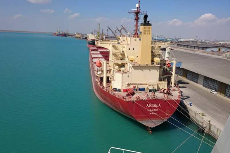 واردات نهاده های دامی نسبت به پارسال پنج برابر افزایش یافت